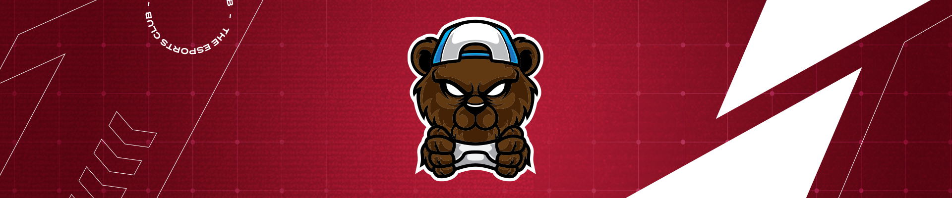 Profile Banner